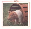 Cover of Pigs