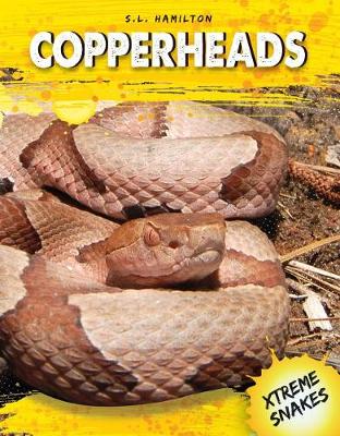 Book cover for Copperheads