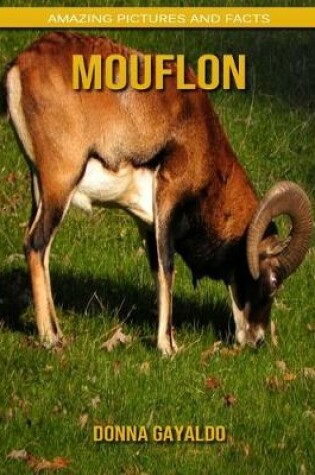 Cover of Mouflon