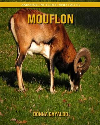 Book cover for Mouflon