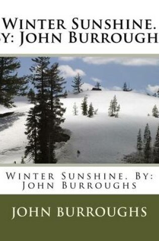 Cover of Winter Sunshine. By