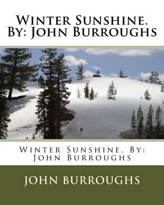 Book cover for Winter Sunshine. By