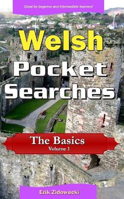 Book cover for Welsh Pocket Searches - The Basics - Volume 1