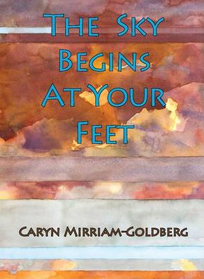 Book cover for The Sky Begins at Your Feet