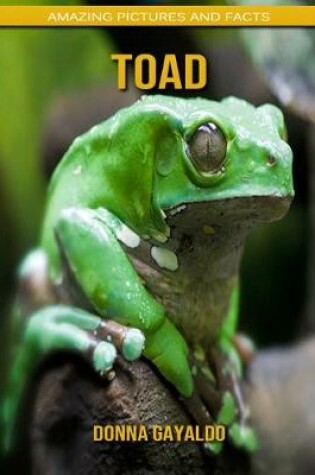 Cover of Toad