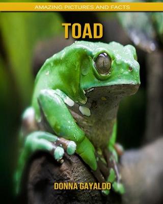 Book cover for Toad