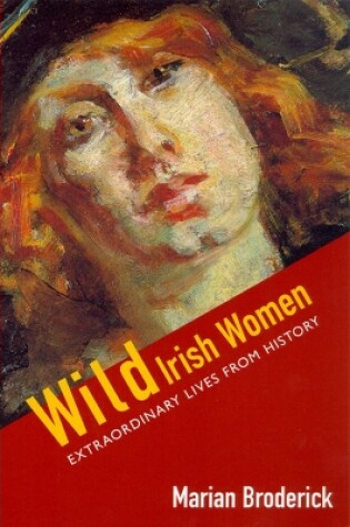 Cover of Wild Irish Women