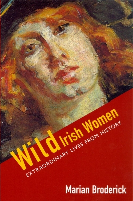 Book cover for Wild Irish Women