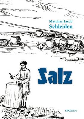 Book cover for Salz