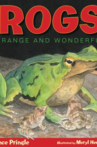 Cover of Frogs!