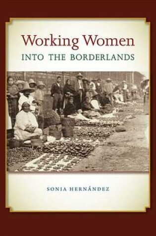 Cover of Working Women Into the Borderlands