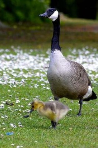 Cover of Mother and Baby Canada Geese Journal