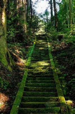 Book cover for Moss Covered Stairs to a Shrine in Japan Journal