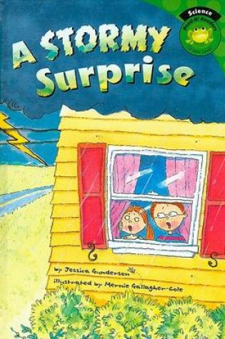 Cover of A Stormy Surprise