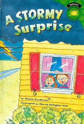 Book cover for A Stormy Surprise