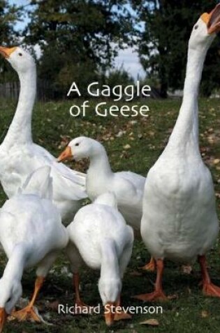 Cover of A Gaggle of Geese