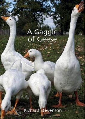 Book cover for A Gaggle of Geese