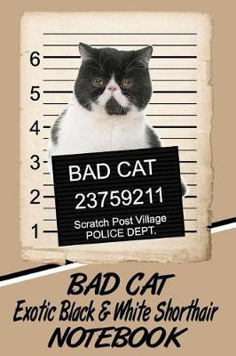 Book cover for Bad Cat Exotic Black & White Shorthair Notebook