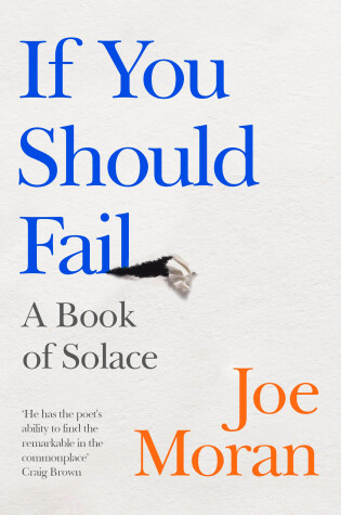 Cover of If You Should Fail