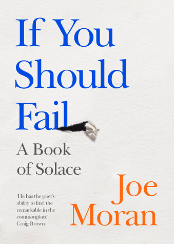 Book cover for If You Should Fail