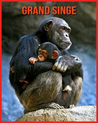 Book cover for Grand Singe