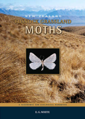 Book cover for New Zealand Tussock Grassland Moths