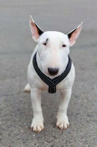 Cover of The Miniature Bull Terrier Dog Journal