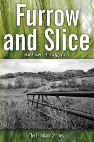 Cover of Furrow and Slice