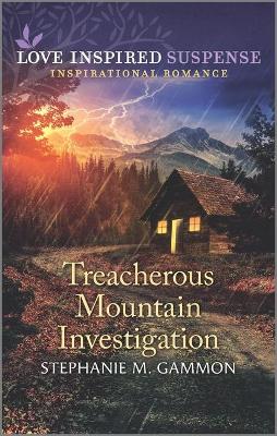 Book cover for Treacherous Mountain Investigation