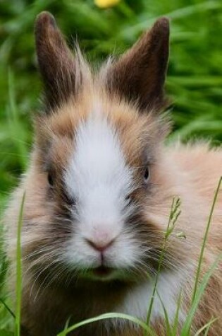 Cover of Brown and White Dwarf Rabbit Up Close Journal