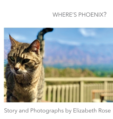 Book cover for Where's Phoenix?