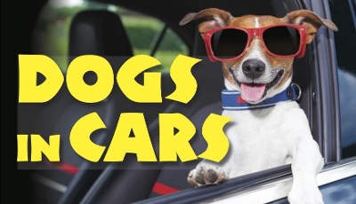 Book cover for Dogs in Cars