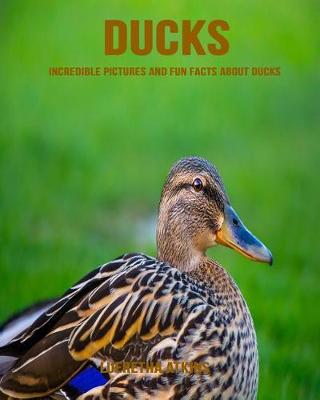 Book cover for Ducks