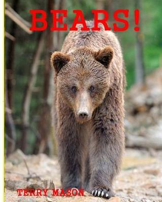 Book cover for Bears