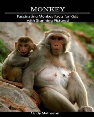 Book cover for Monkey