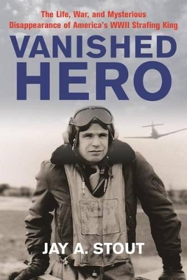 Book cover for Vanished Hero