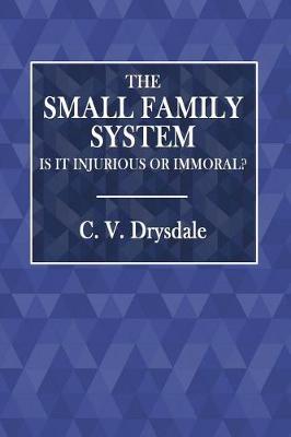 Book cover for The Small Family System