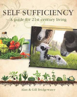 Book cover for Self-sufficiency