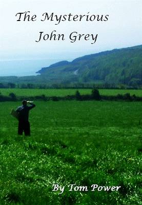 Book cover for The Mysterious John Grey