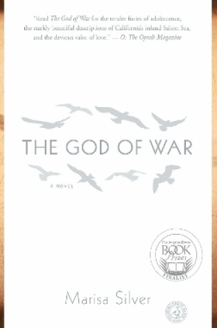 Cover of The God of War