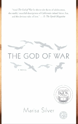 Book cover for The God of War