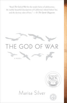 Book cover for The God of War