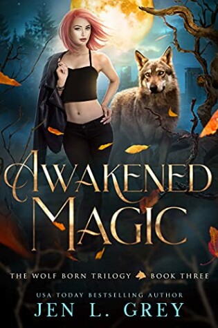 Cover of Awakened Magic