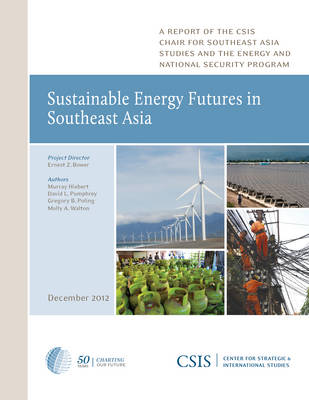 Book cover for Sustainable Energy Futures in Southeast Asia