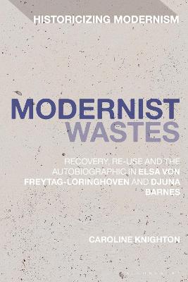 Book cover for Modernist Wastes