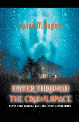 Book cover for Enter Through the Crawlspace