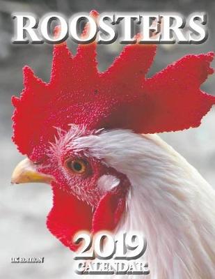 Book cover for Roosters 2019 Calendar (UK Edition)