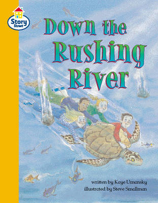 Book cover for Down the Rushing River Story Street Competent Step 9 Book 6