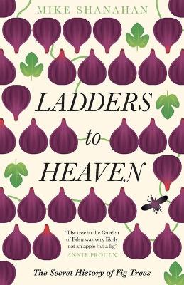 Book cover for Ladders to Heaven