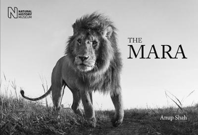 Book cover for The Mara